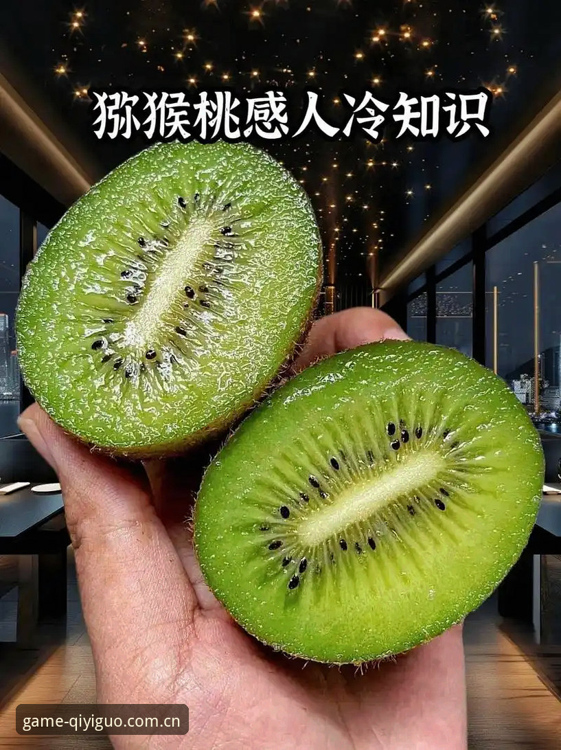 奇异果体育登录评测最新动态：全新版本上线，实测体验全面升级